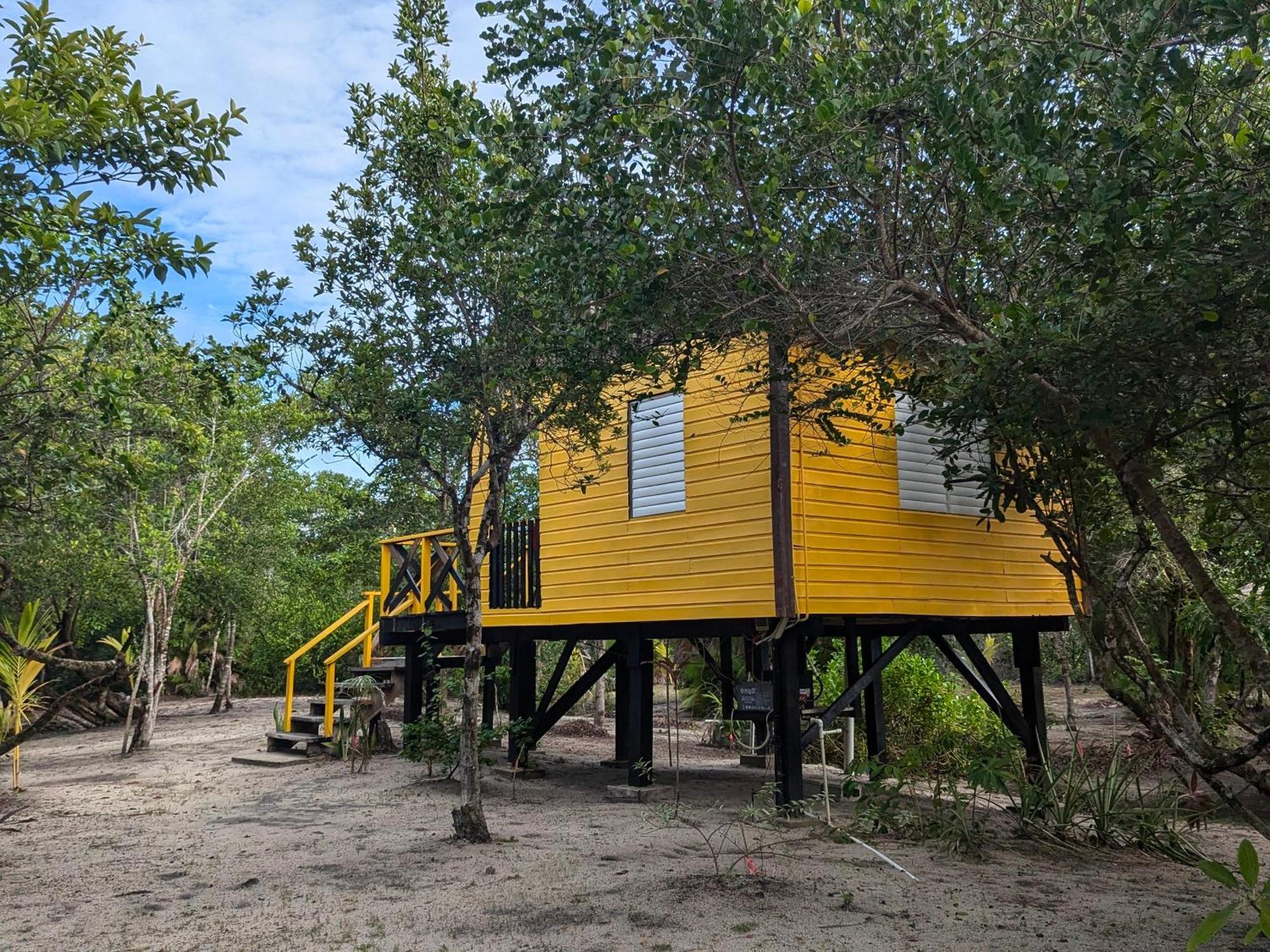 Palmento Grove Garifuna Eco-Cultural & Healing Institute Hopkins Exterior photo