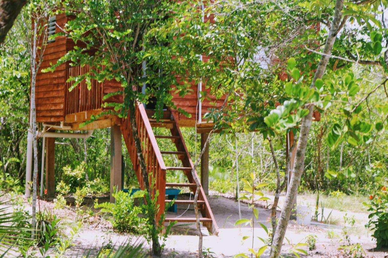 Palmento Grove Garifuna Eco-Cultural & Healing Institute Hopkins Exterior photo